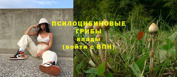 mix Армянск